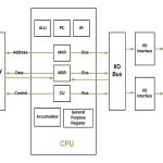 Basic Cpu Organization