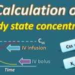 Steady State