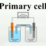 Primary cells