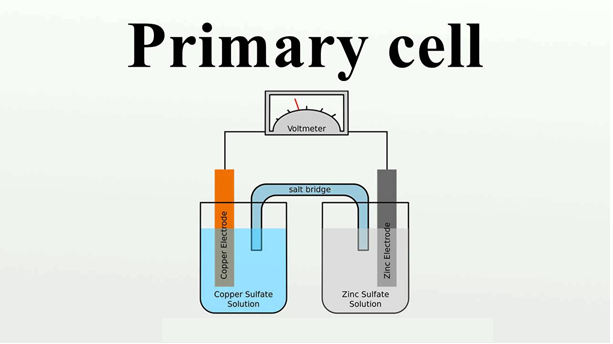Primary cells