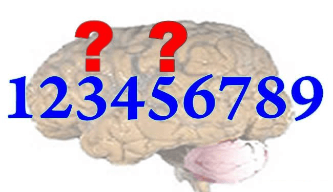 What number is halfway between 1 and 9? Is it 5 — or 3?