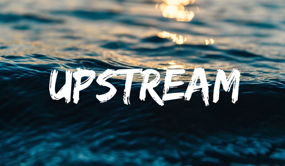 Swimming upstream